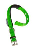 Ferplast Obojek nylon DAYTONA C 53cmx25mm zelený