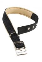 Ferplast Obojek nylon DAYTONA C 53cmx25mm modrý (2)