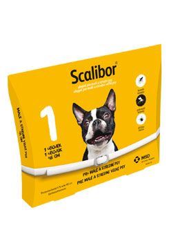 Intervet Scalibor Protectorband Antiparazitní obojek pro psy